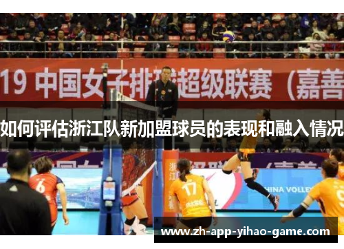 如何评估浙江队新加盟球员的表现和融入情况