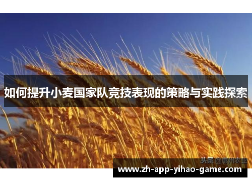 如何提升小麦国家队竞技表现的策略与实践探索