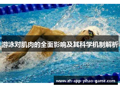 游泳对肌肉的全面影响及其科学机制解析