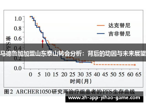 马德鲁加加盟山东泰山转会分析：背后的动因与未来展望