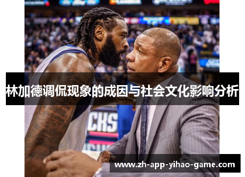 林加德调侃现象的成因与社会文化影响分析